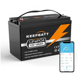 12V 100AH LiFePO4 Pacco batteria ricaricabile con BMS per barca RV US EU Tax Free