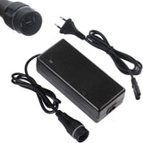 Caricabatterie 42V 4A per batteria Haibike Nduro SDUROTrekking ( 7 pin) Tipo A 500WH