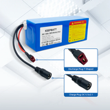 36V 7.8Ah 10S3P 18650 batteria bicicletta veicolo elettrico con caricatore