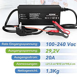 Caricatore Dedicato LiFePO4 29.2V 20A Progettato Per Batteria Al Litio 12V (12.8V)