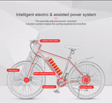 SAMEBIKE bici da corsa elettrica