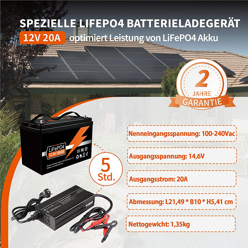 Caricabatterie intelligente 20A 12V per batterie al litio (LiFePO4)