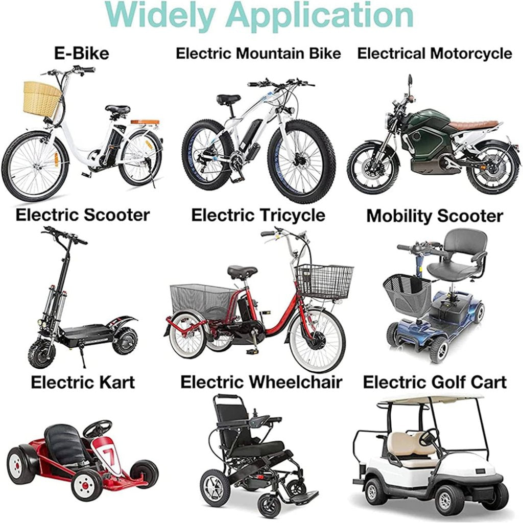 60V 30ah XT60 Batteria Agli Ioni Di Litio Bicicletta Elettrica Kit Di –  batteryzone-IT