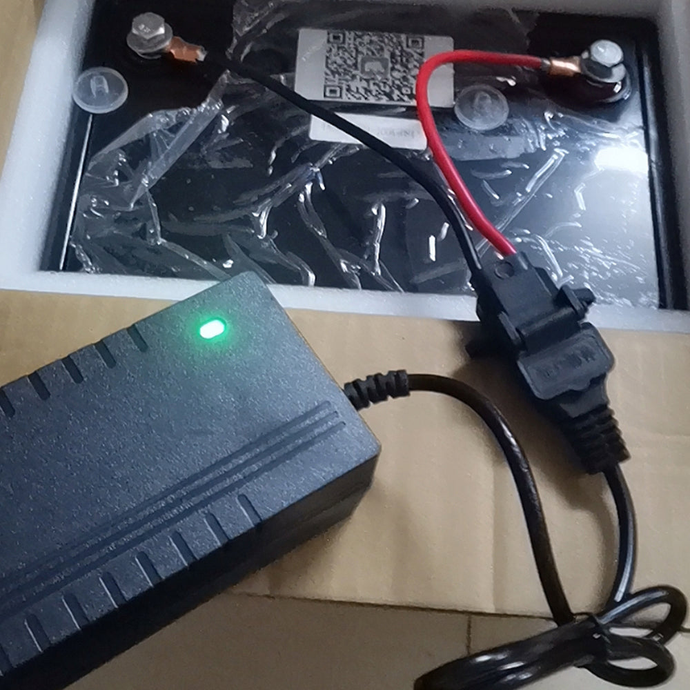 Enerpower Caricabatterie 14,6V 2A Per Batterie LiFePo4 E AGM 12V (12,8V) Con Pinze A Coccodrillo, Marchio GS